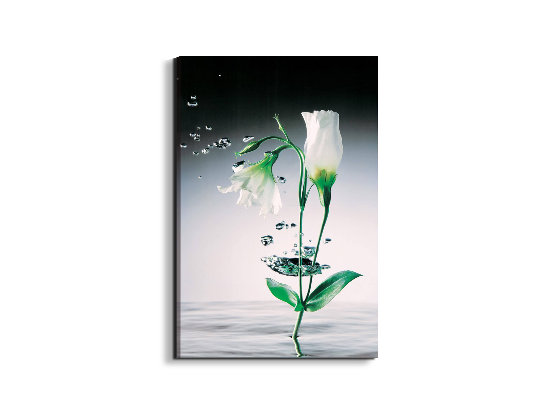 #materiale_EarthArt/dimensioni_53x79,5