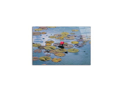 waterliliesec22212-