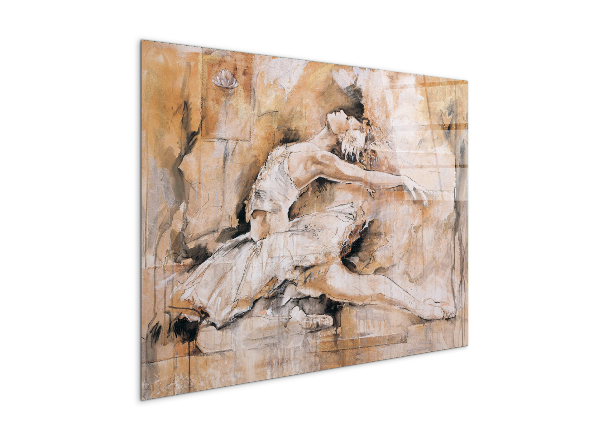 swan-lake-iec22221-