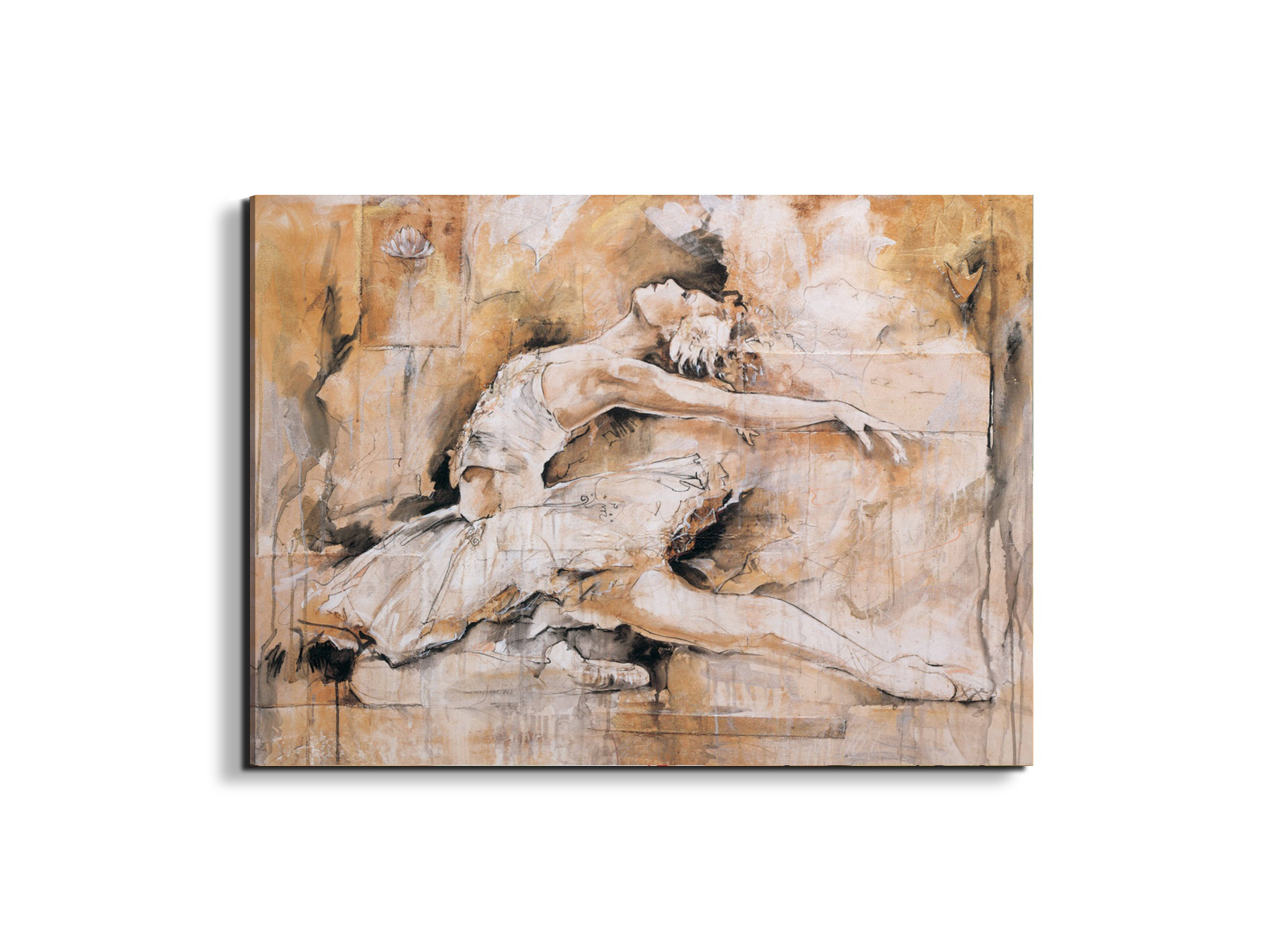 swan-lake-iec22221-