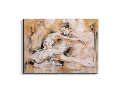 swan-lake-iec22221-