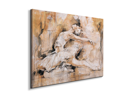 swan-lake-iec22221-