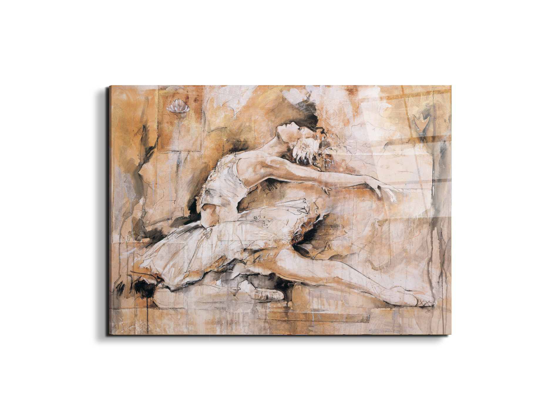 swan-lake-iec22221-