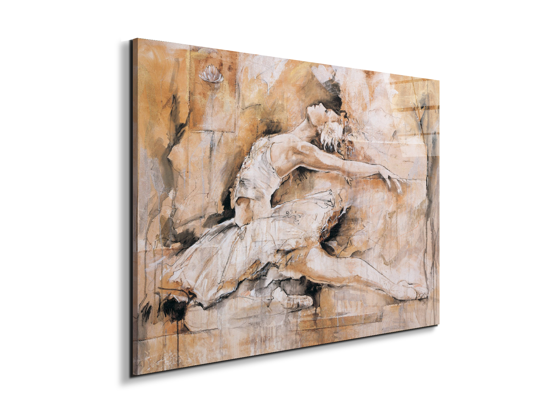 swan-lake-iec22221-
