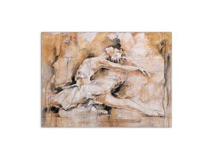swan-lake-iec22221-