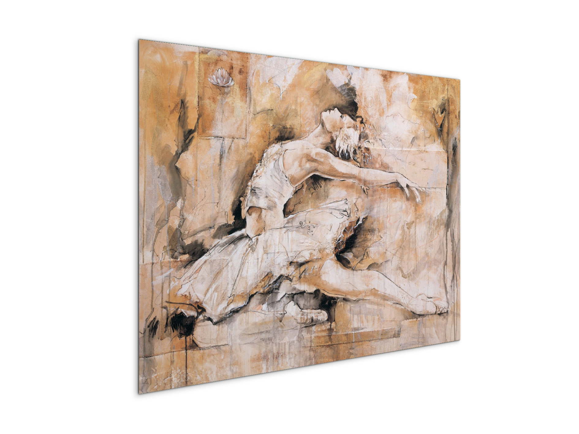 swan-lake-iec22221-