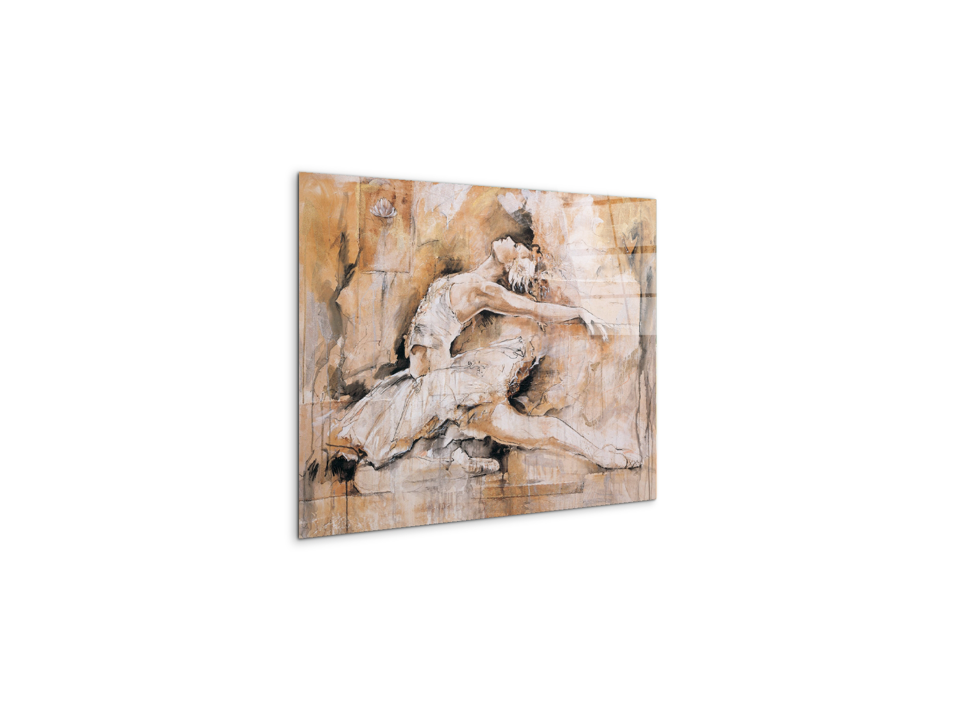 swan-lake-iec22221-