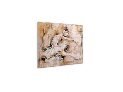 swan-lake-iec22221-