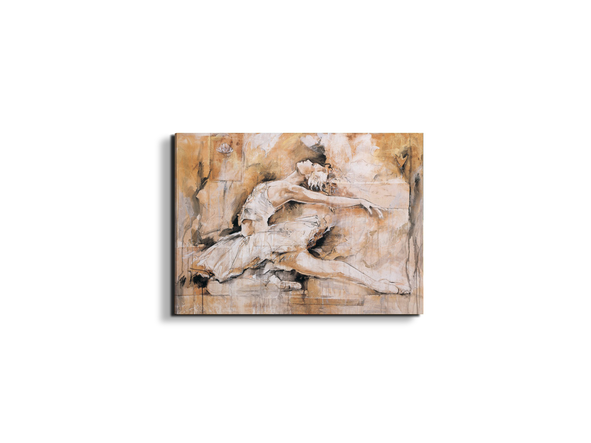 swan-lake-iec22221-