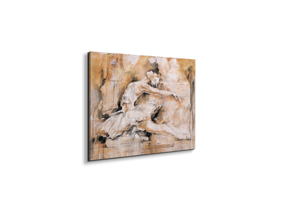 swan-lake-iec22221-