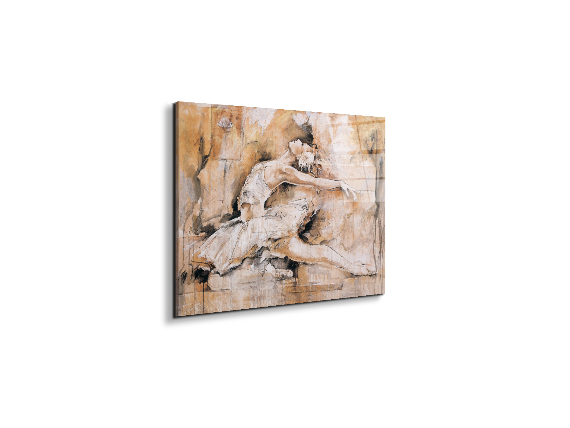 swan-lake-iec22221-