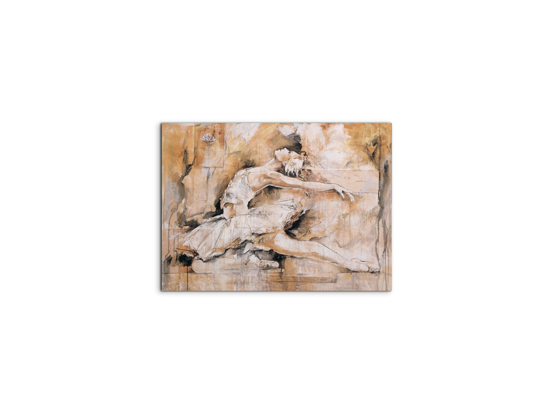 swan-lake-iec22221-