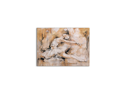 swan-lake-iec22221-