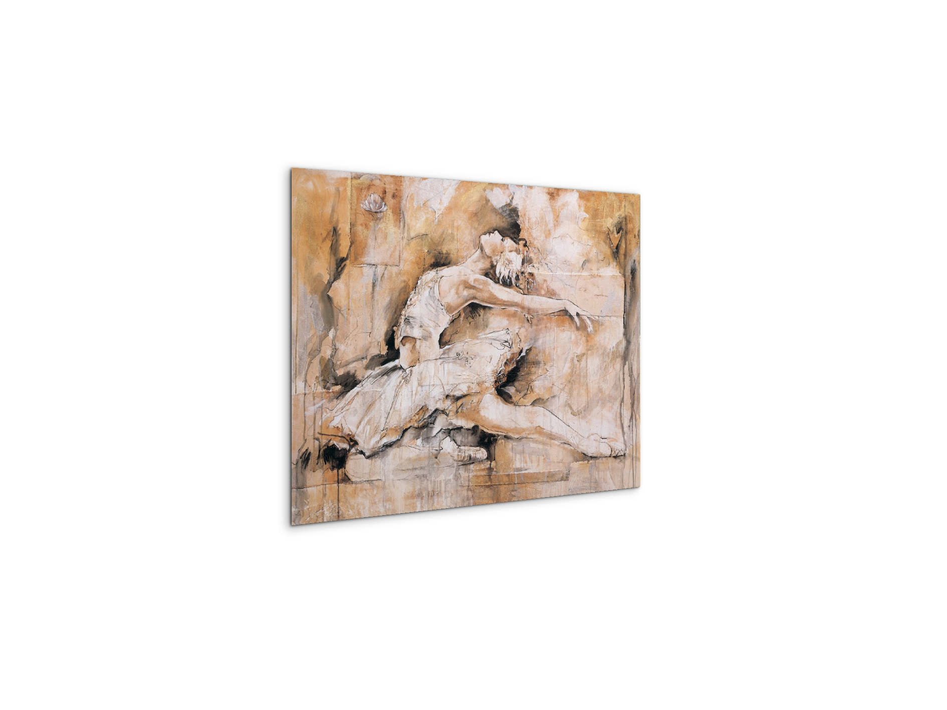 swan-lake-iec22221-