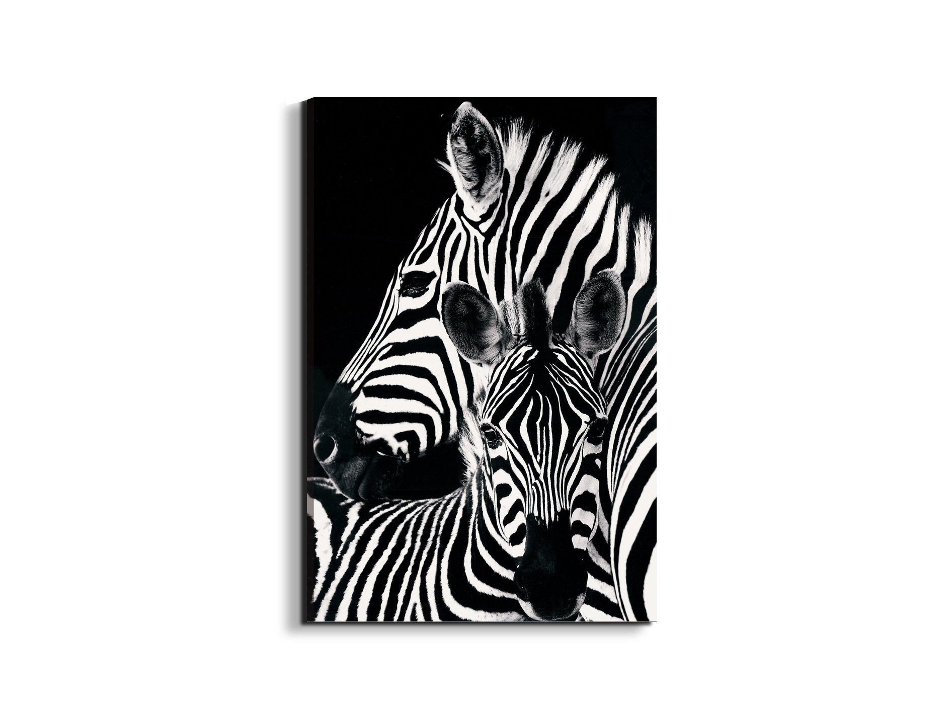 #materiale_EarthArt Materic/dimensioni_53x79,5