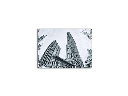 flat-iron-fish-eyeec22268-