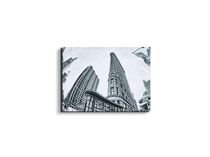 flat-iron-fish-eyeec22268-