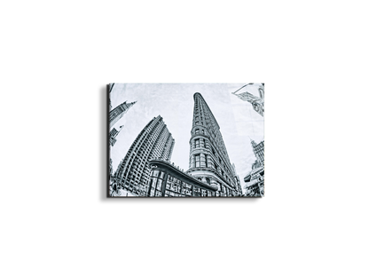 flat-iron-fish-eyeec22268-