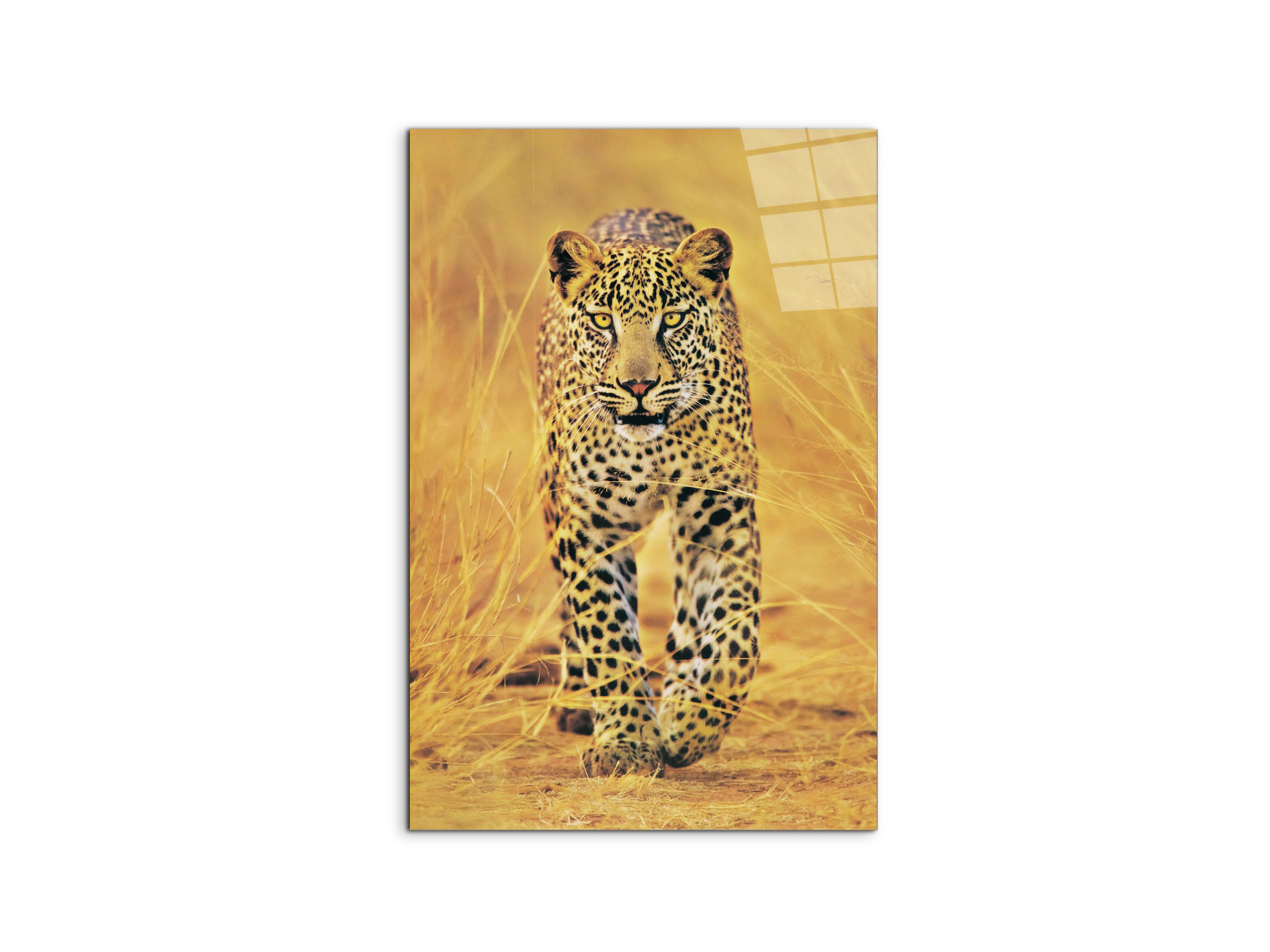 #materiale_CrystalArt/dimensioni_53x79,5